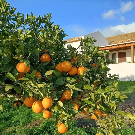 Le Terrazze Sullo Stagnone *